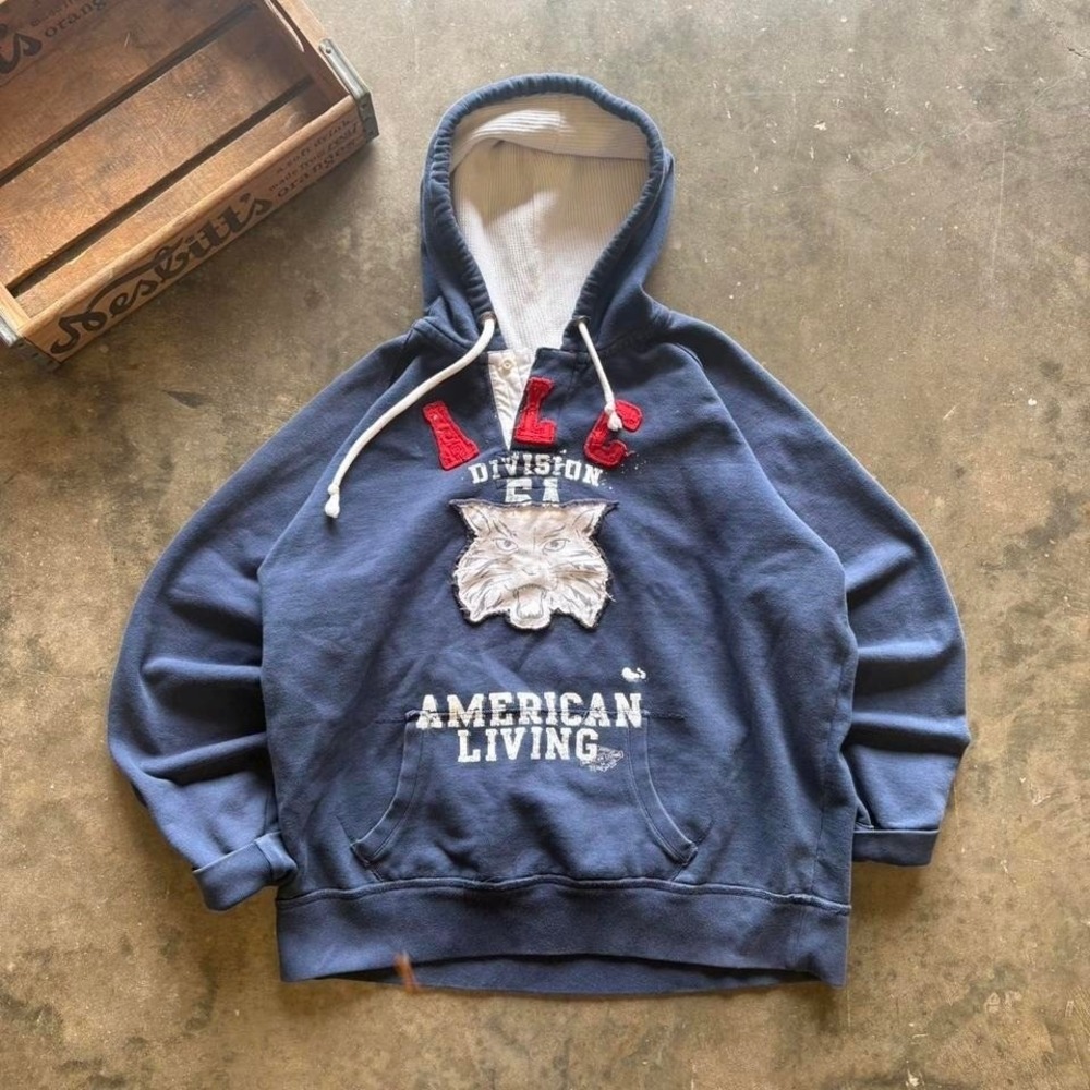 Y2K Essential 2000s American Living Hoodie